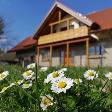 Wandertraum Johann - Fewo Eifel Kruft ภายนอก รูปภาพ