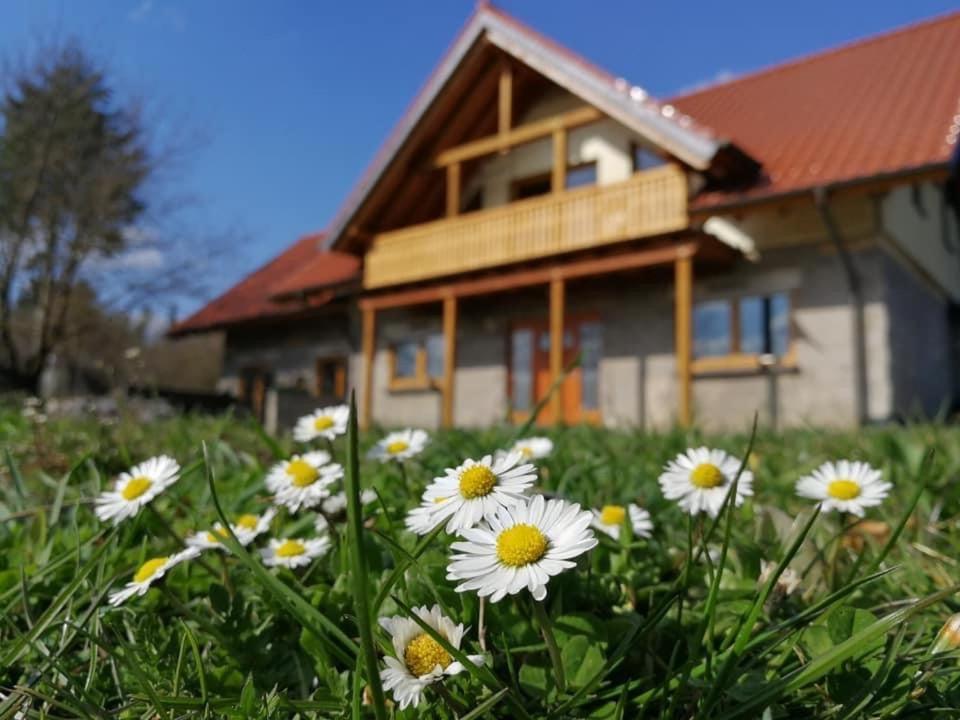 Wandertraum Johann - Fewo Eifel Kruft ภายนอก รูปภาพ