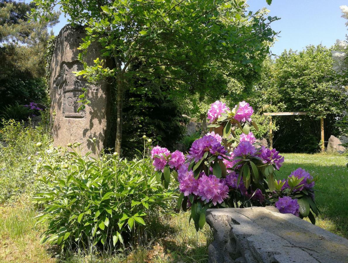 Wandertraum Johann - Fewo Eifel Kruft ภายนอก รูปภาพ